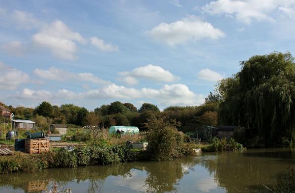 11 Allotments along the way.jpg